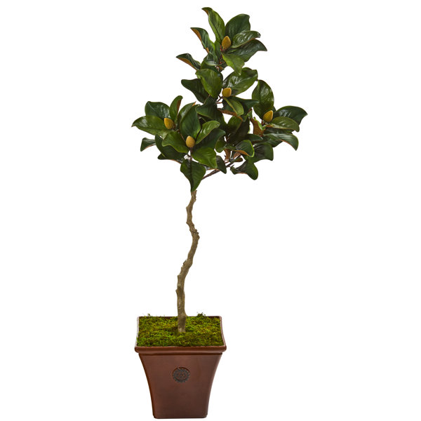 Gracie Oaks 57'' Faux Magnolia Tree in Planter Wayfair
